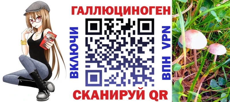Псилоцибиновые грибы мухоморы  наркота  Красный Кут 